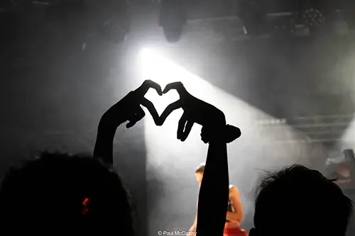 coeur dans public d'un singe en été